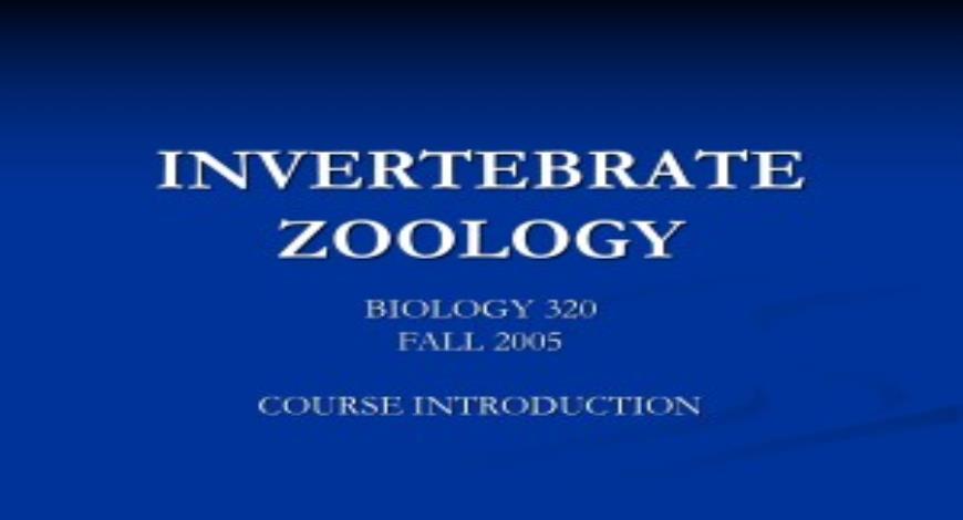 Zoology Ppt Template Free Download