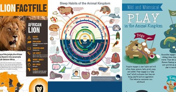 SHARING and Promoting Forest and Animals INFOGRAPHICS online