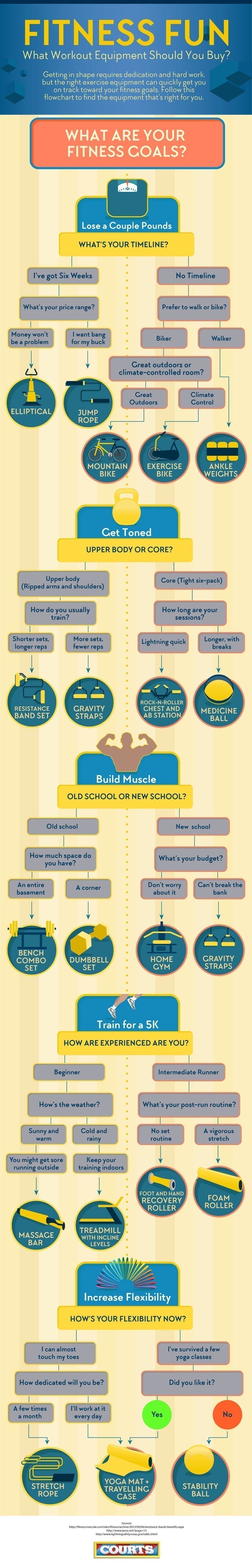 Infographic on Fitness Fun: What Workout Equipment Should You Buy by Courts