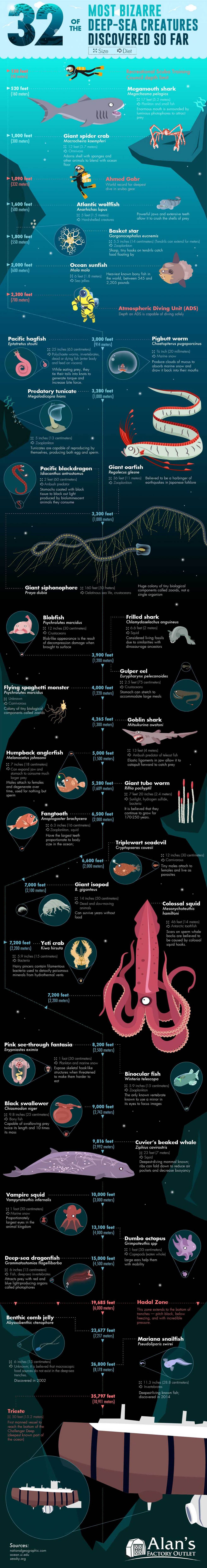 Infographic on 32 of the Most Bizarre Deep-Sea Creatures Discovered so Far by AlansFactoryOutlet