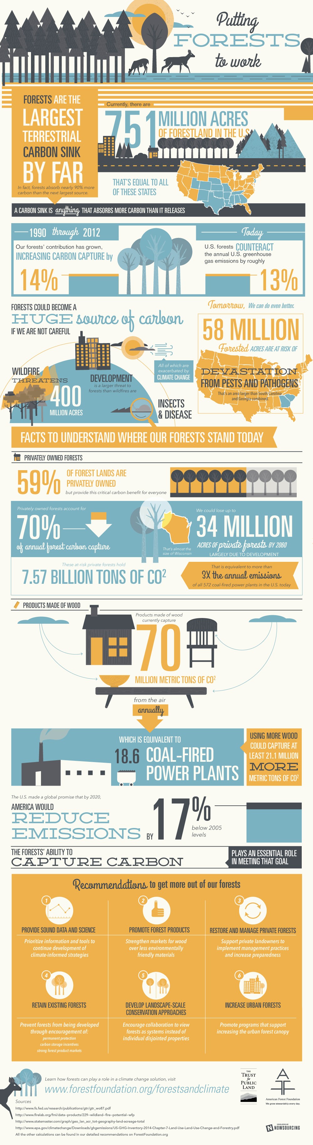 Infographic on Putting Forests to Work by American Forest Foundation