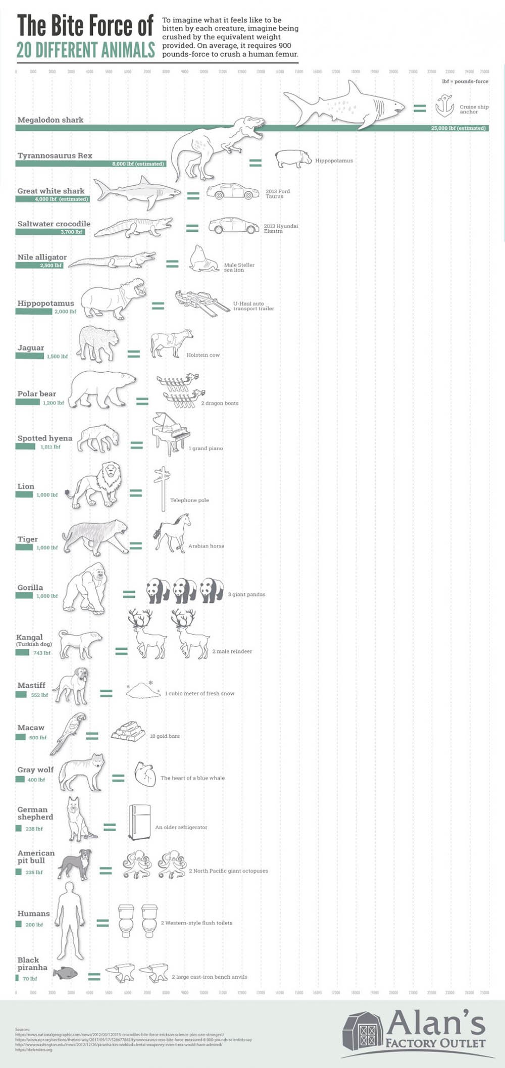 Infographic on The Bite Force of 20 Different Animals by AlansFactoryOutlet
