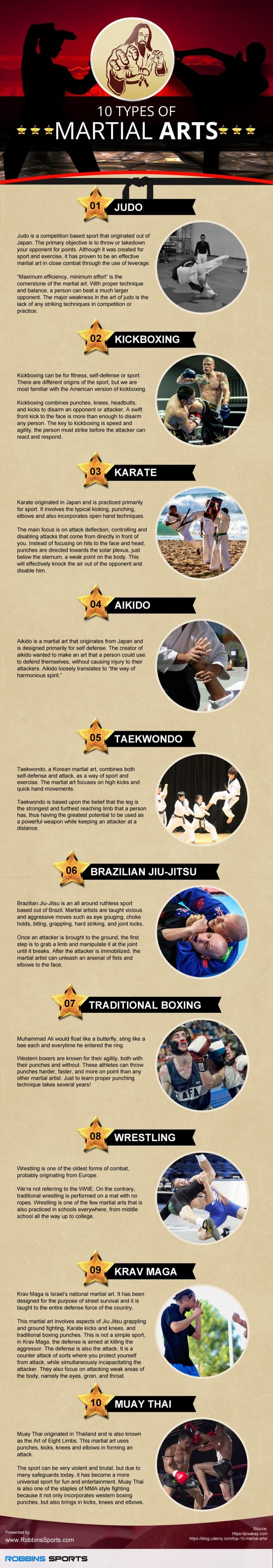 Infographic on 10 Types of Martial Arts by Robbins Sports