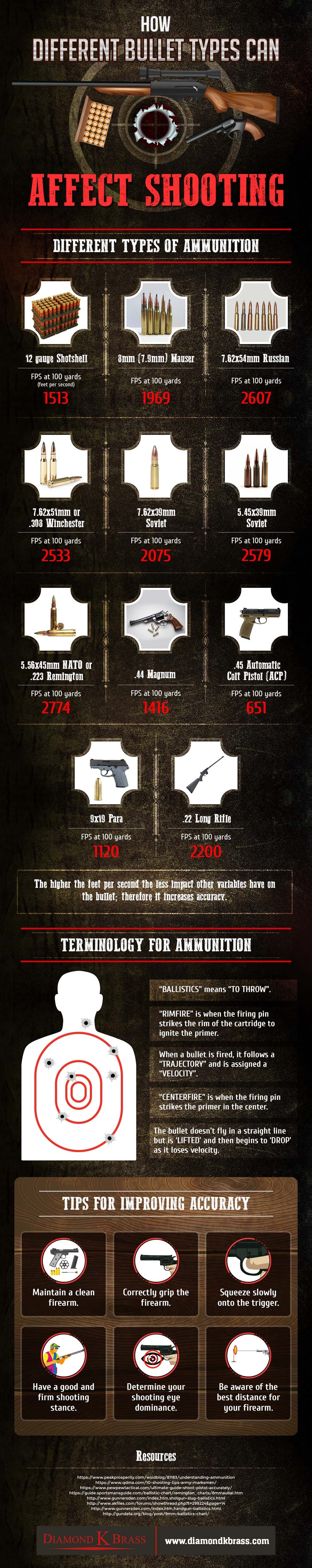 Infographic on How Different Bullet Types Can Affect Shooting By Diamond K Brass