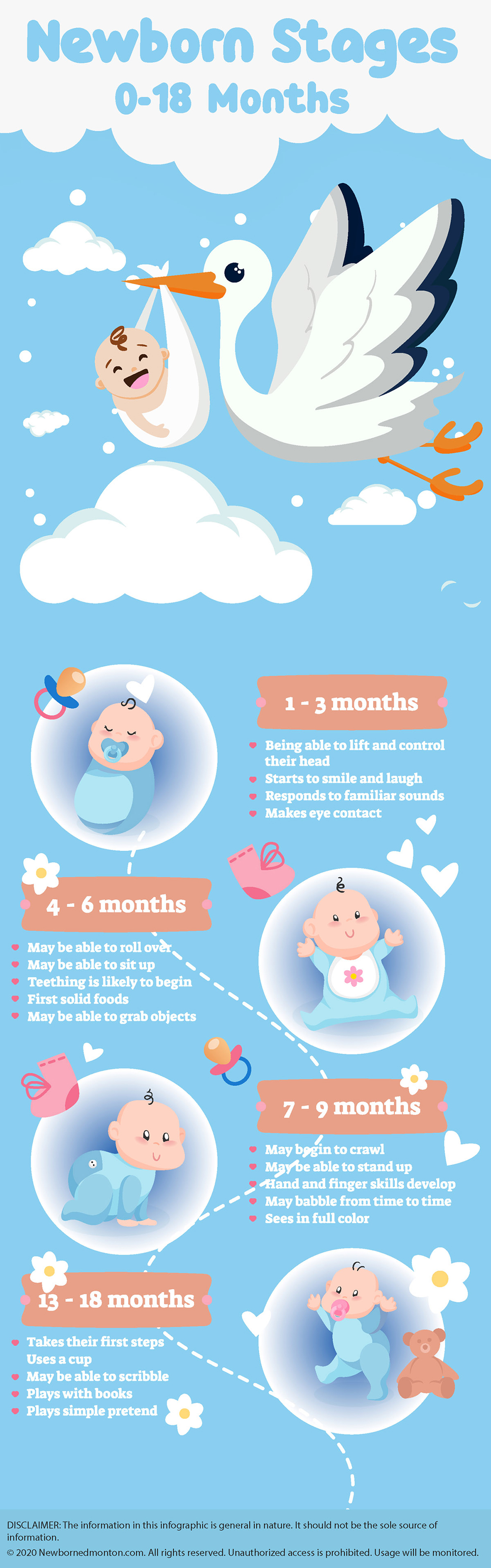 Infographic on Newborn Stages - 0-18 Months by newbornedmonton
