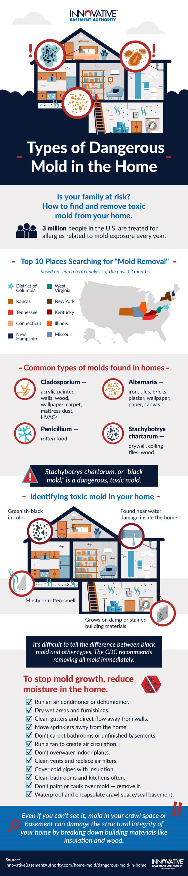 Infographic on Types of Dangerous Mold in Our Homes by Innovative Basement Authority