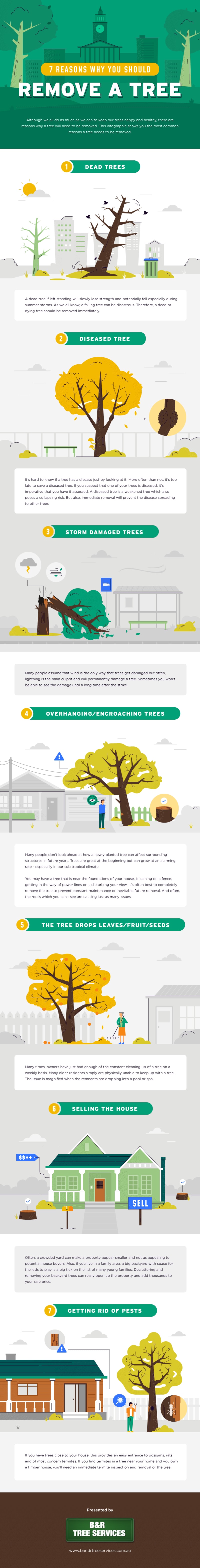 Infographic on 7 Reasons Why You Should Remove a Tree by B&R Tree Services