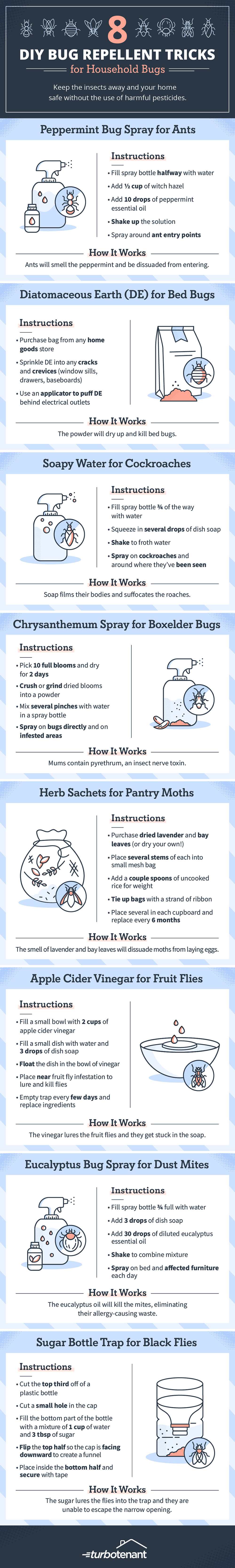 Infographic on 8 DIY Bug Repellent Tricks for Household Bugs by TurboTenant