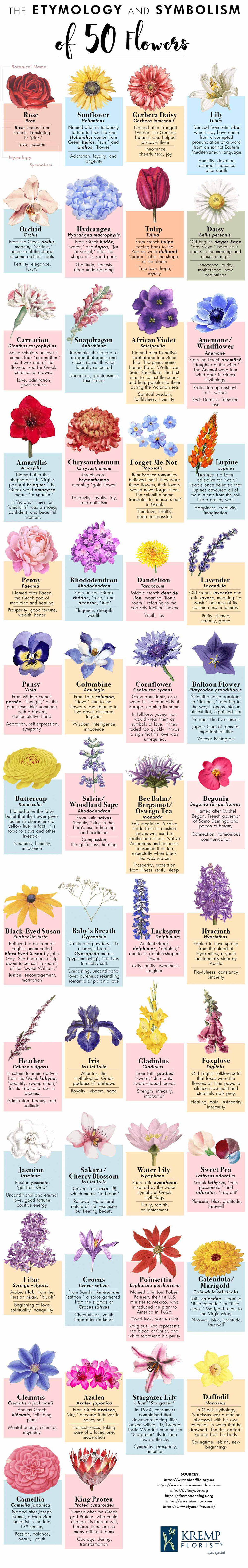 Infographic on The Etymology and Symbolism of 50 Flowers by Kremp Florist