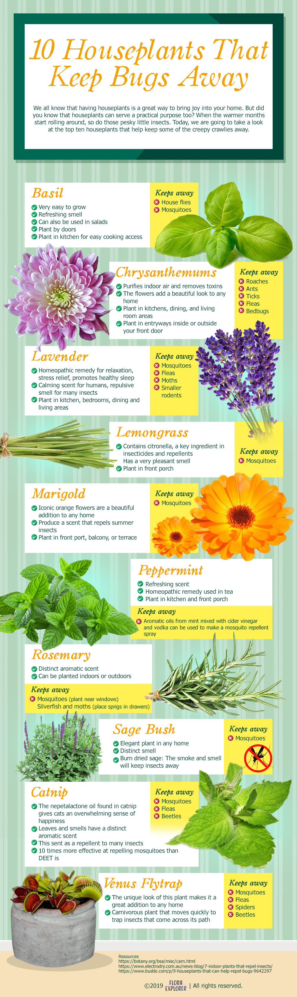 Infographic on 10 Houseplants that Keep Bugs Away by Flora Explorer