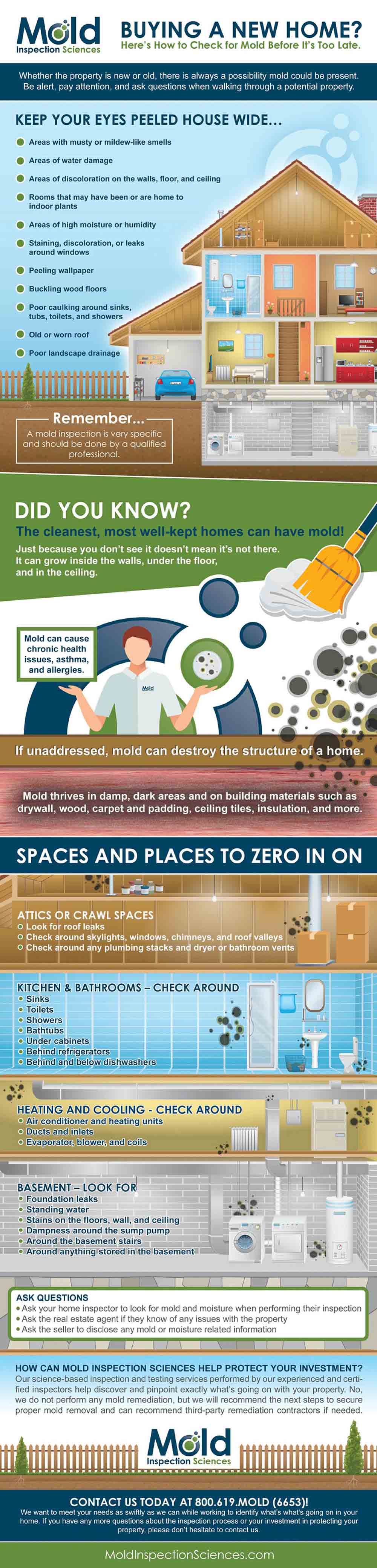 Infographic on Buying a New Home Heres how to check for Mold before Its Too Late by moldsci