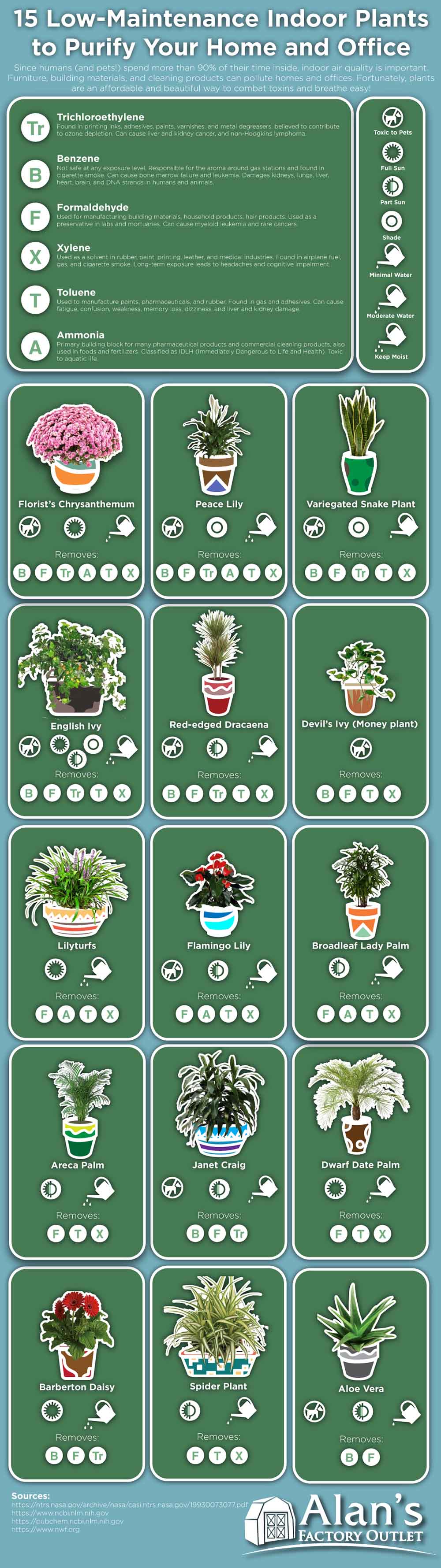 Infographic on 15 Low-Maintenance Indoor Plants to Purify Your Home and Office by alansfactoryoutlet
