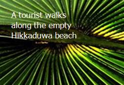 A tourist walks along the empty Hikkaduwa beach Powerpoint Presentation