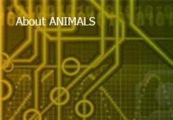 About ANIMALS Powerpoint Presentation