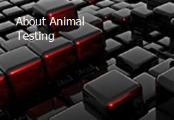 About Animal Testing Powerpoint Presentation