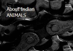 About Indian ANIMALS Powerpoint Presentation
