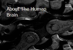 About The Human Brain Powerpoint Presentation
