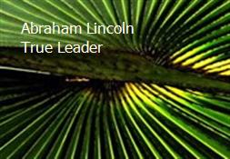 Abraham Lincoln-True Leader Powerpoint Presentation