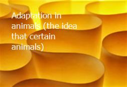 Adaptation in animals (the idea that certain animals) Powerpoint Presentation