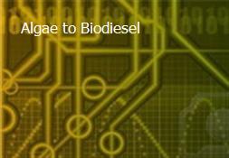 Algae to Biodiesel Powerpoint Presentation