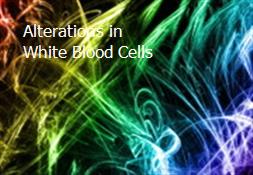 Alterations in White Blood Cells Powerpoint Presentation