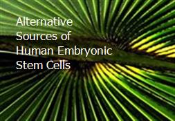 Alternative Sources of Human Embryonic Stem Cells Powerpoint Presentation
