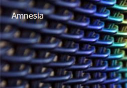 Amnesia Powerpoint Presentation