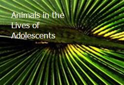 Animals in the Lives of Adolescents Powerpoint Presentation