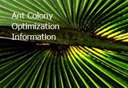 Ant Colony Optimization Information Powerpoint Presentation