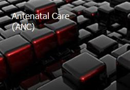 Antenatal Care (ANC) Powerpoint Presentation