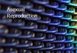 Asexual Reproduction Powerpoint Presentation
