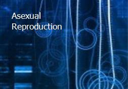 Asexual Reproduction Powerpoint Presentation