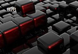 B2B Powerpoint Presentation