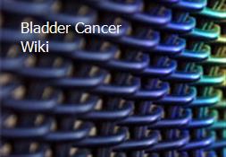 Bladder Cancer Wiki Powerpoint Presentation