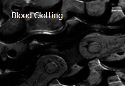 Blood Clotting Powerpoint Presentation