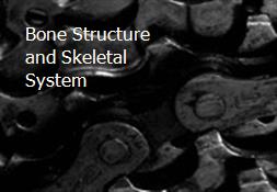 Bone Structure and Skeletal System Powerpoint Presentation