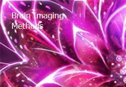 Brain Imaging Methods Powerpoint Presentation