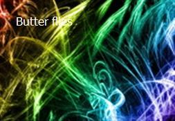 Butter flies Powerpoint Presentation