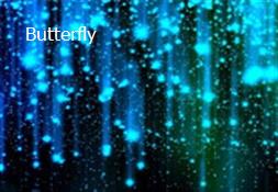 Butterfly Powerpoint Presentation