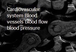 Cardiovascular system-Blood vessels blood flow blood pressure Powerpoint Presentation