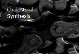 Cholesterol Synthesis Powerpoint Presentation