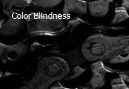 Color Blindness Powerpoint Presentation