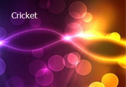 Cricket Powerpoint Presentation