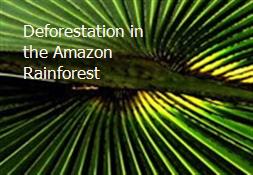 Deforestation in the Amazon Rainforest Powerpoint Presentation
