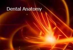 Dental Anatomy Powerpoint Presentation