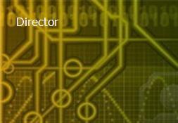Director Powerpoint Presentation