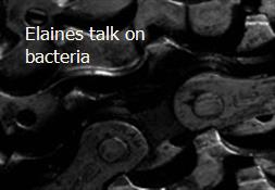 Elaines talk on bacteria Powerpoint Presentation