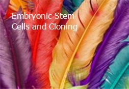Embryonic Stem Cells and Cloning Powerpoint Presentation