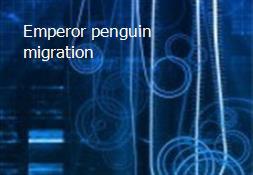 Emperor penguin migration Powerpoint Presentation
