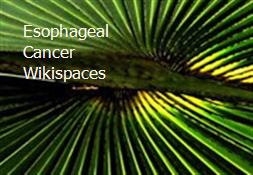 Esophageal Cancer - Wikispaces Powerpoint Presentation